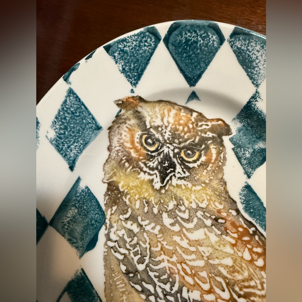 🦉 Vietri Wildlife Owl Oval Platter – Made in Italy – 18” – Wall Hanging Holes - Picture 2 of 10